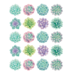 TEACHER CREATED RESOURCES Rustic Bloom Succulents Stickers