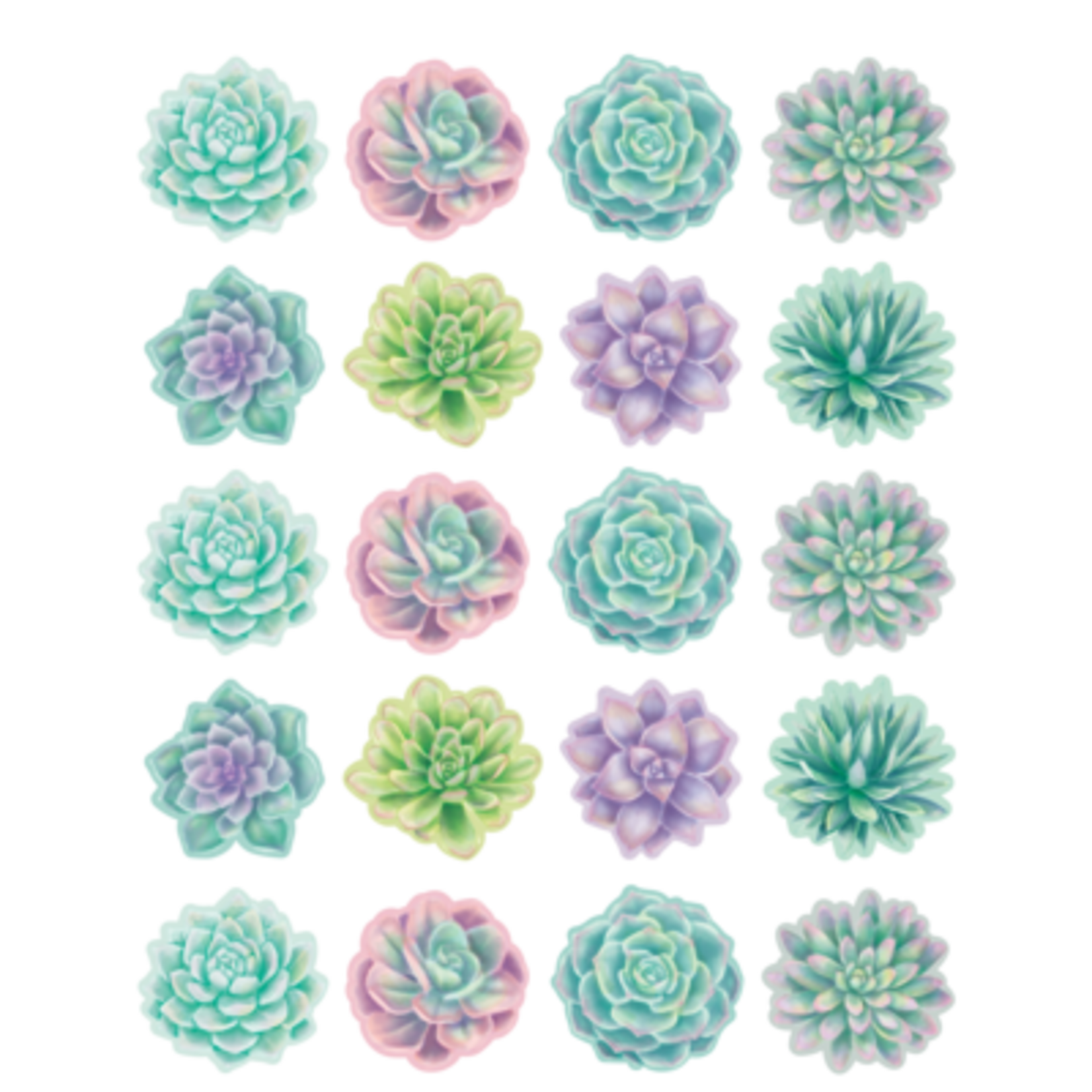 TEACHER CREATED RESOURCES Rustic Bloom Succulents Stickers