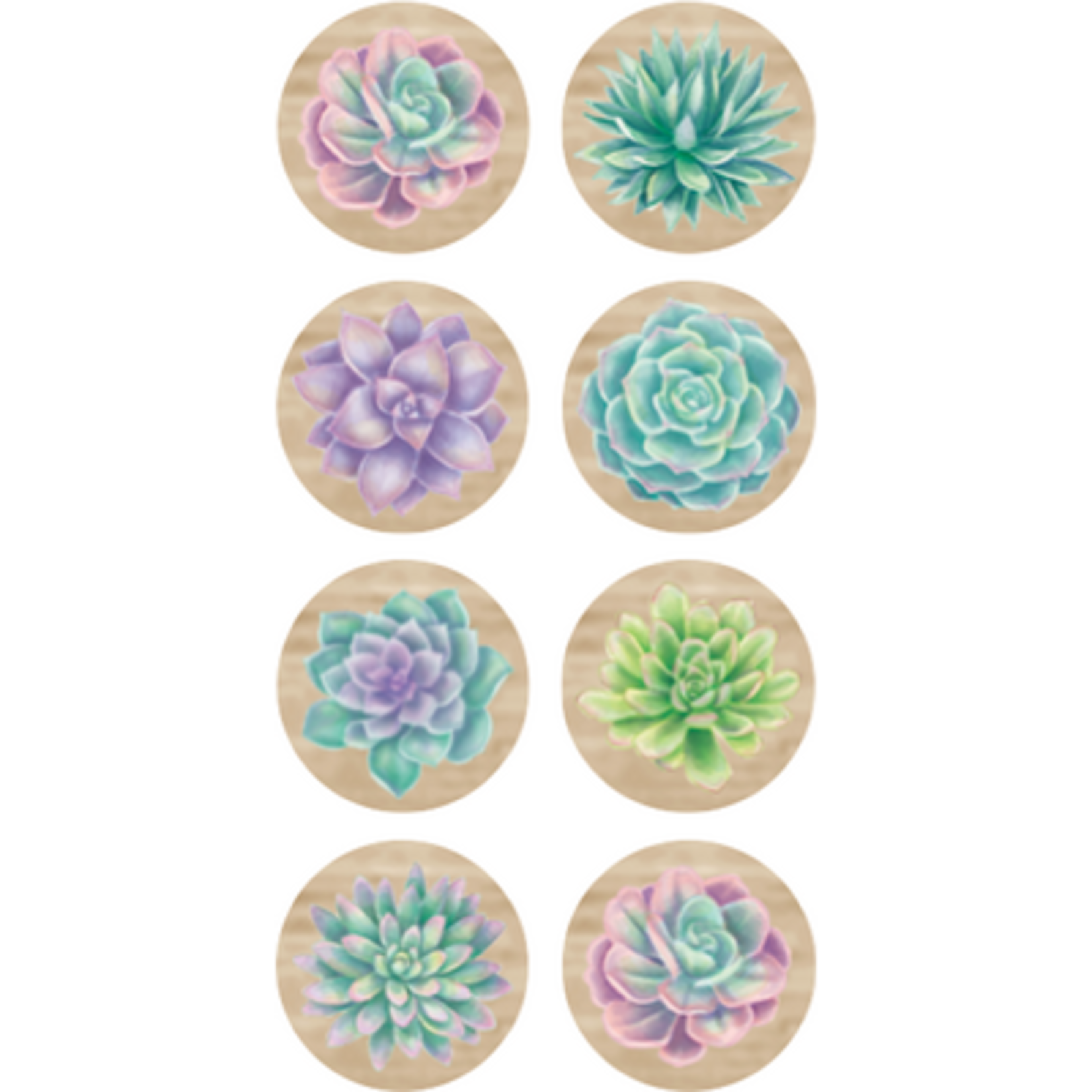 TEACHER CREATED RESOURCES Rustic Bloom Succulents Mini Stickers