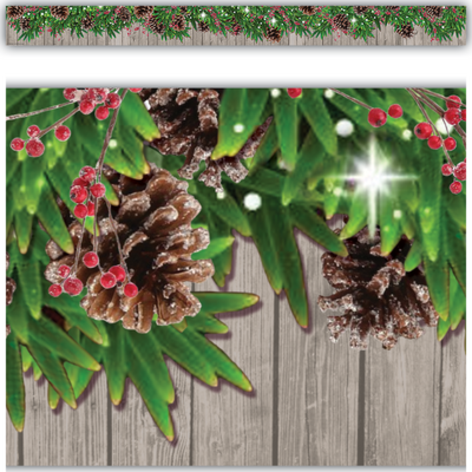 TEACHER CREATED RESOURCES Winter Pine Cones Straight Border Trim