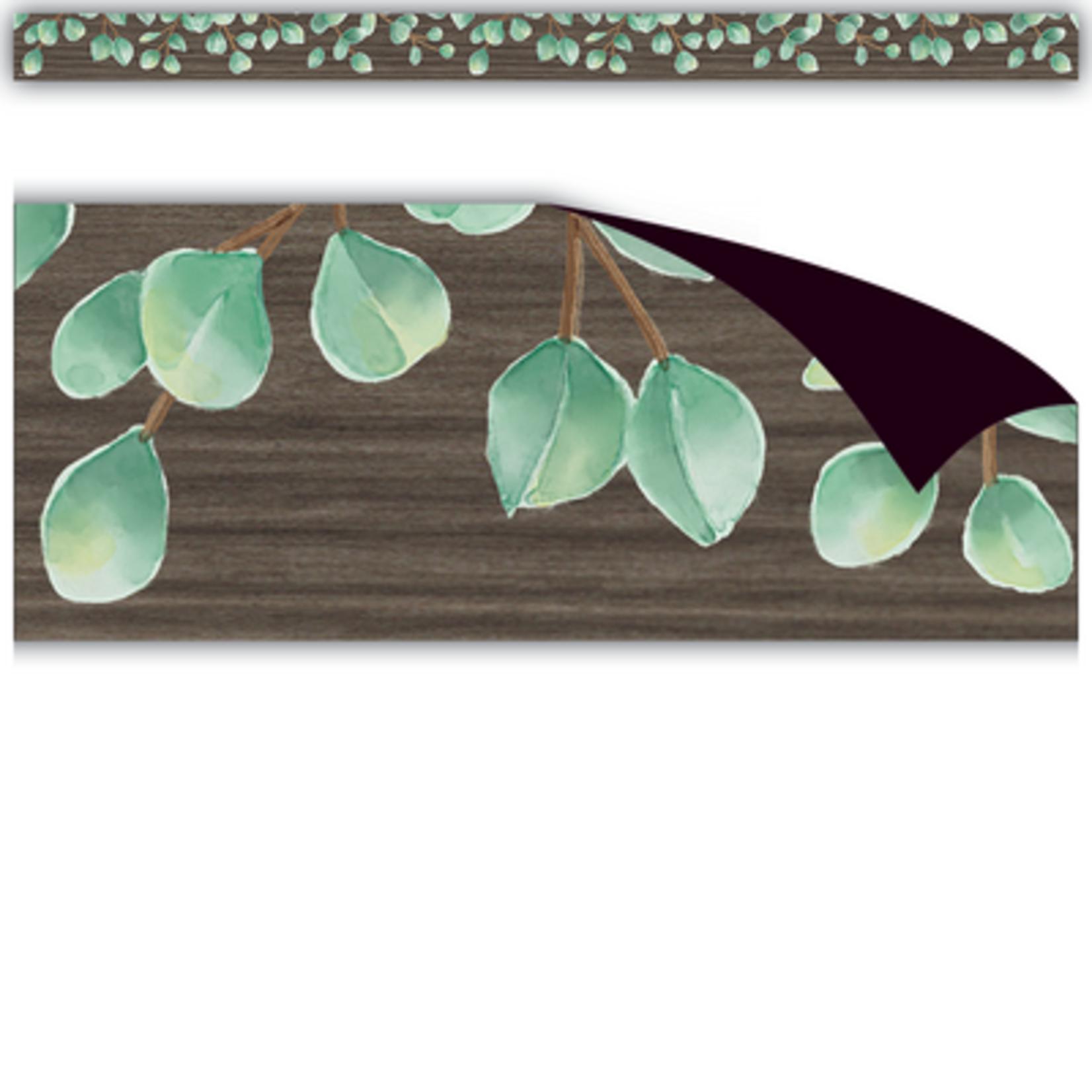 TEACHER CREATED RESOURCES Eucalyptus Magnetic Border