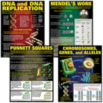 TEACHER CREATED RESOURCES DNA & Heredity Poster Set