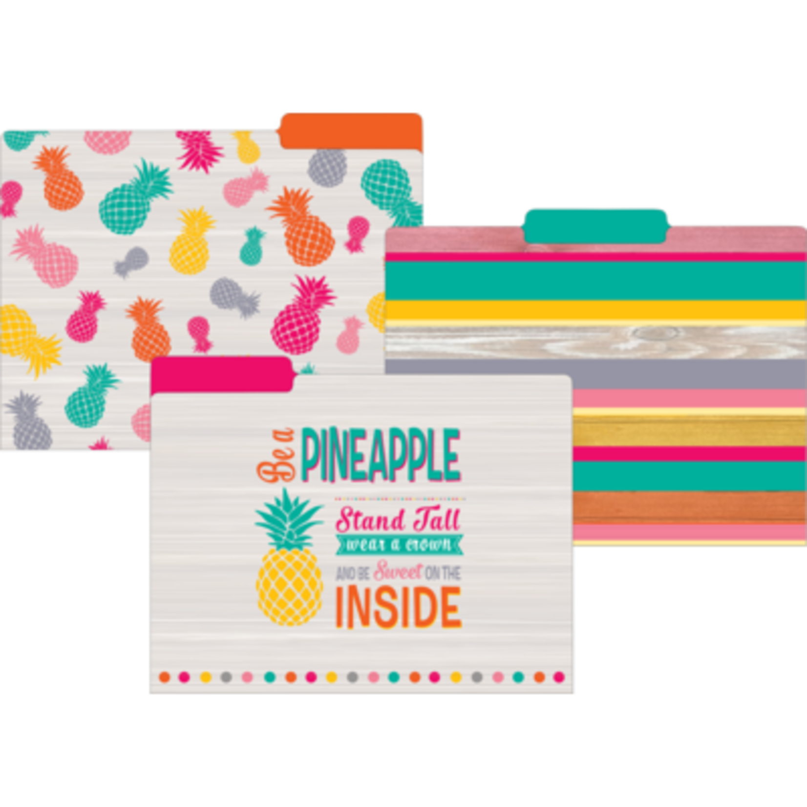 TEACHER CREATED RESOURCES Tropical Punch File Folders