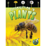 TEACHER CREATED RESOURCES Reproduction in Plants