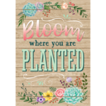 TEACHER CREATED RESOURCES Bloom Where You Are Planted Positive Poster