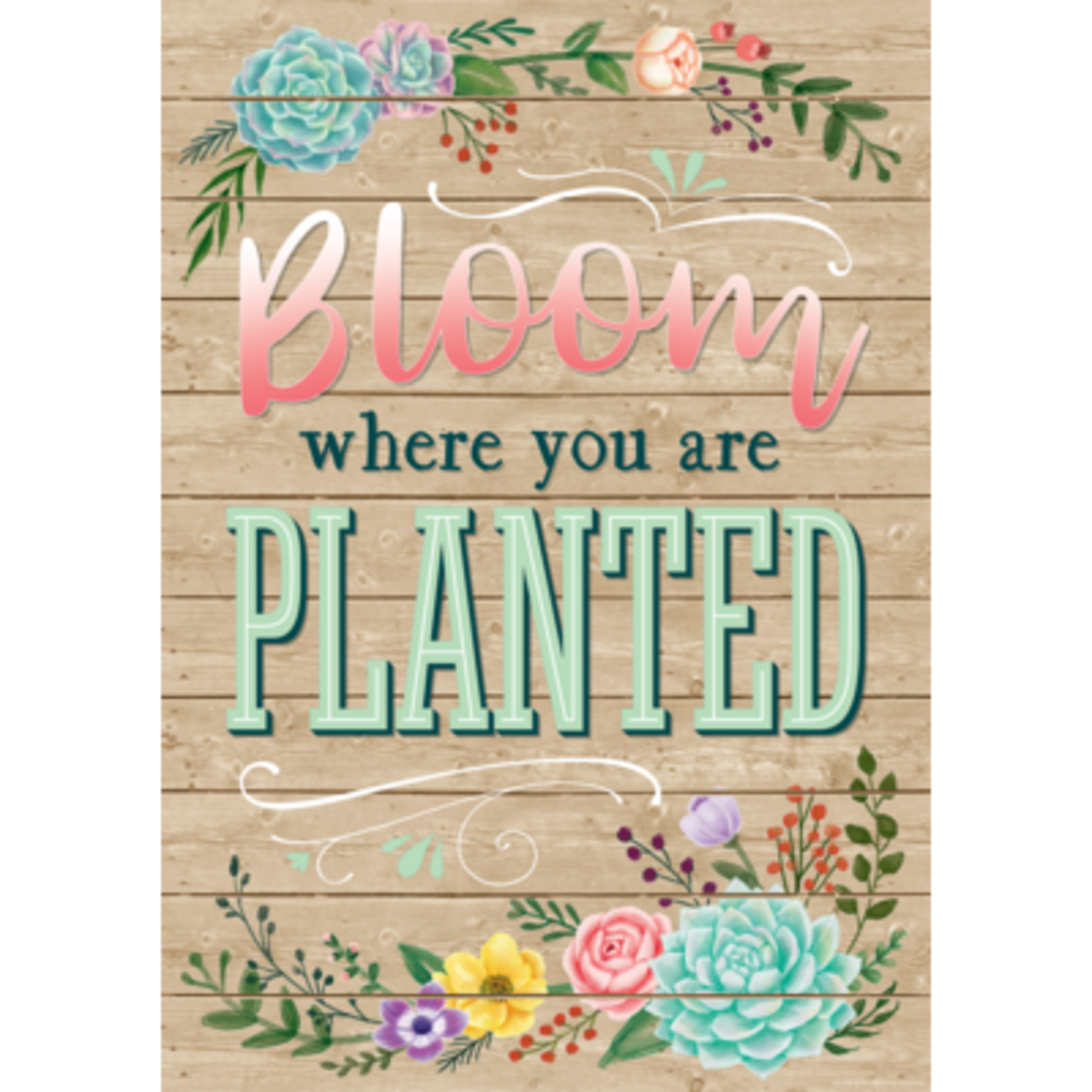 TEACHER CREATED RESOURCES CLM Bloom Where You Are Planted Positive Poster