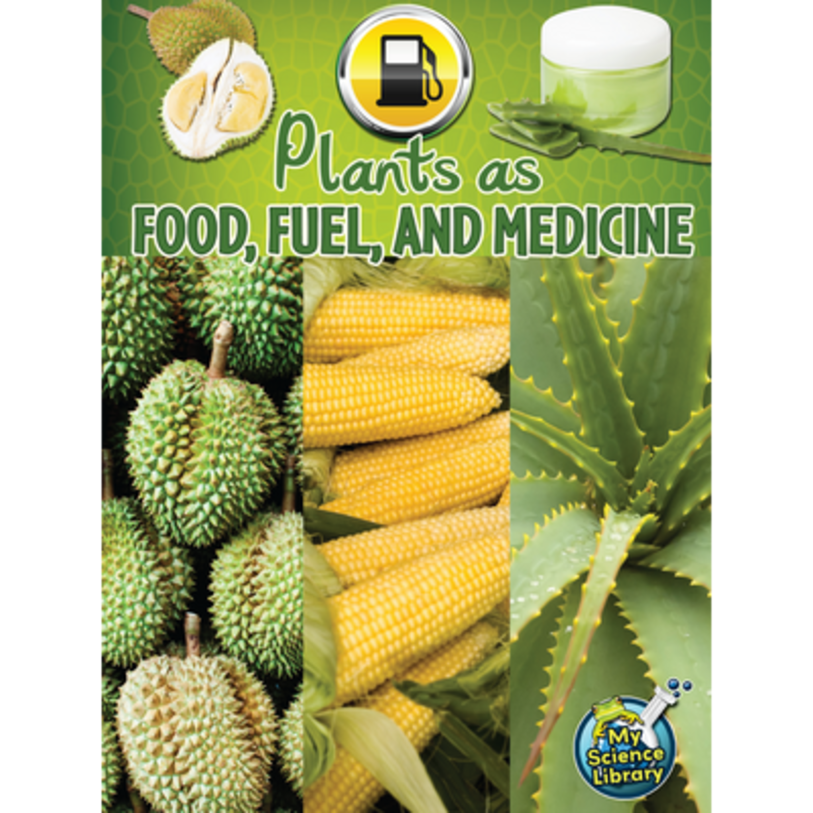 TEACHER CREATED RESOURCES Plants as Food, Fuel and Medicine