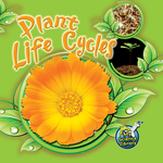 TEACHER CREATED RESOURCES Plant Life Cycles