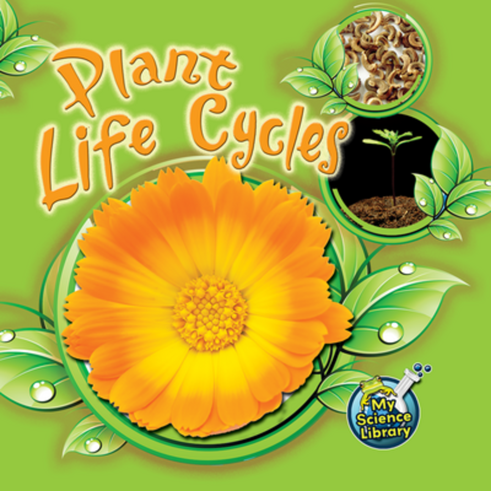 TEACHER CREATED RESOURCES Plant Life Cycles (Level I)