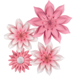 TEACHER CREATED RESOURCES Pink Blossoms Paper Flowers