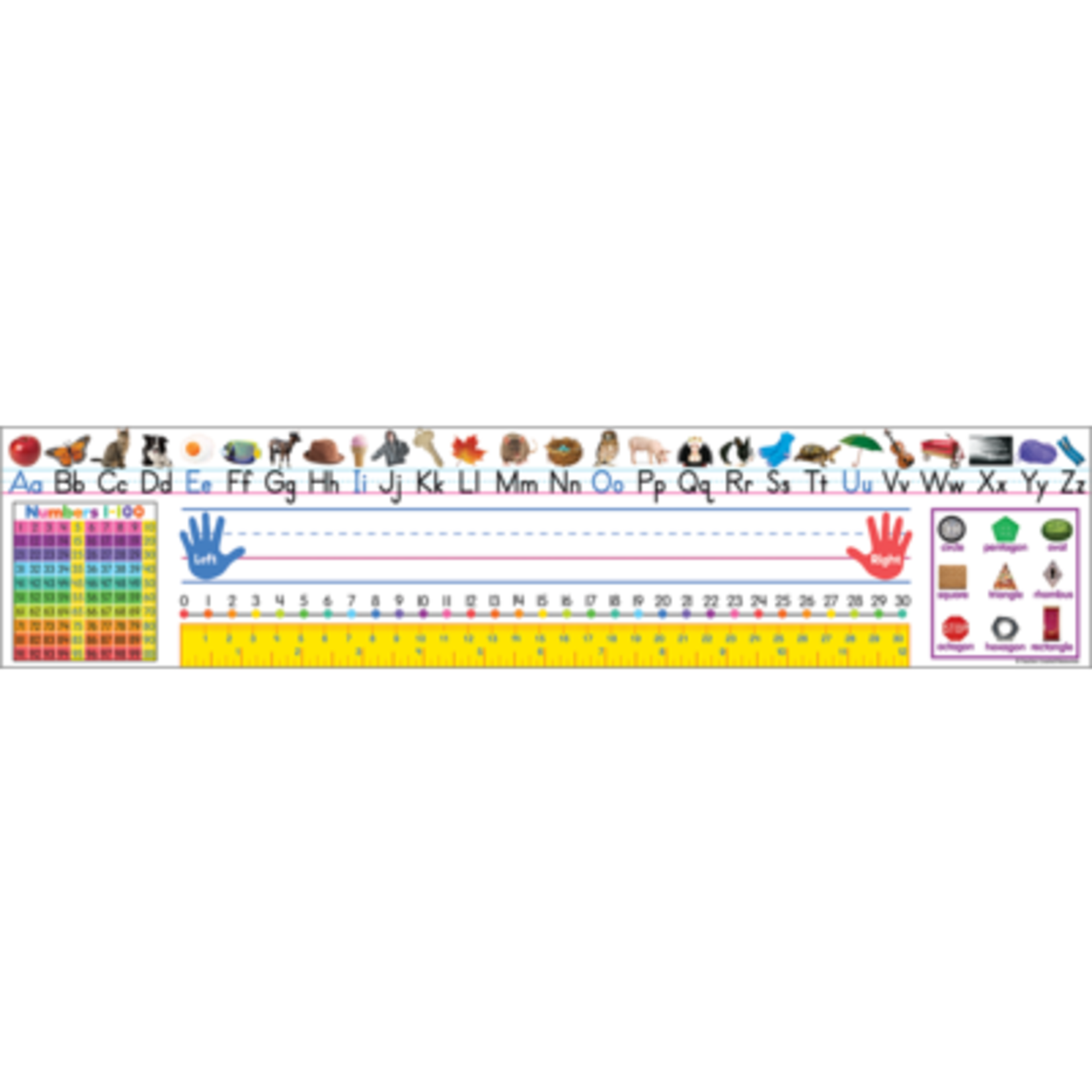 TEACHER CREATED RESOURCES Colorful Traditional Printing Jumbo Name Plates