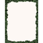 TEACHER CREATED RESOURCES Modern Farmhouse Boxwood Computer Paper