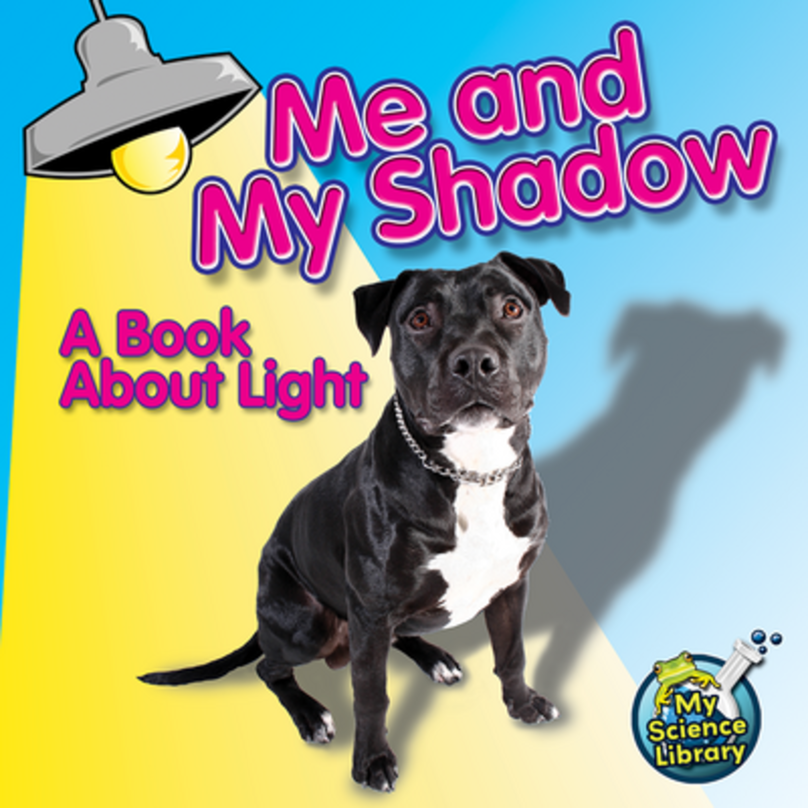 TEACHER CREATED RESOURCES Me and My Shadow A Book About Light (Level H)
