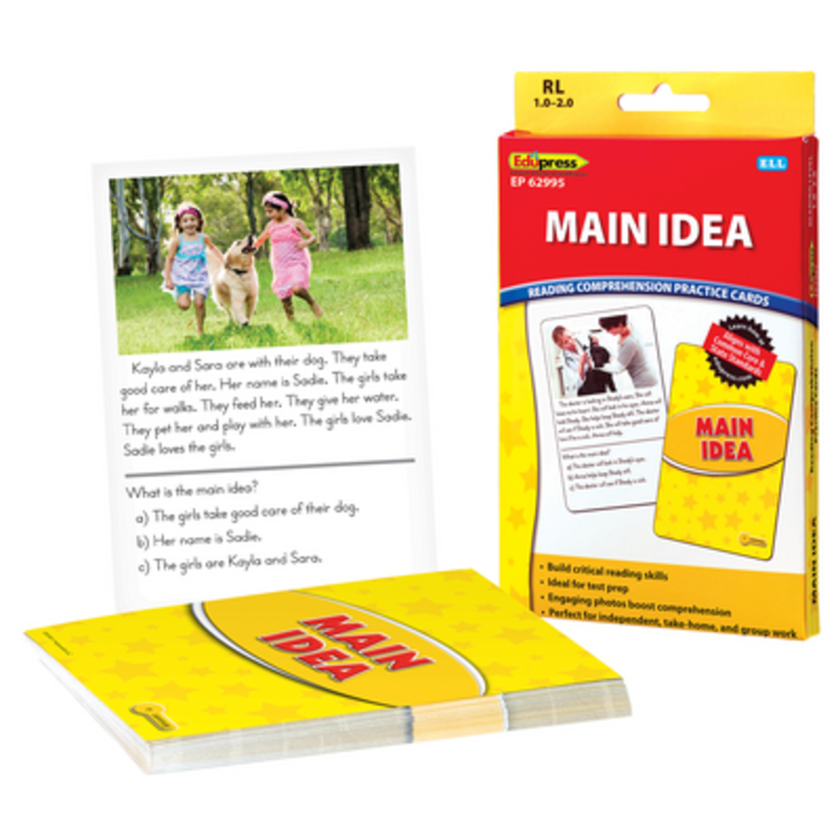 TEACHER CREATED RESOURCES Main Idea Practice Cards Yellow Level