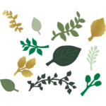 TEACHER CREATED RESOURCES Green and Gold Paper Leaves