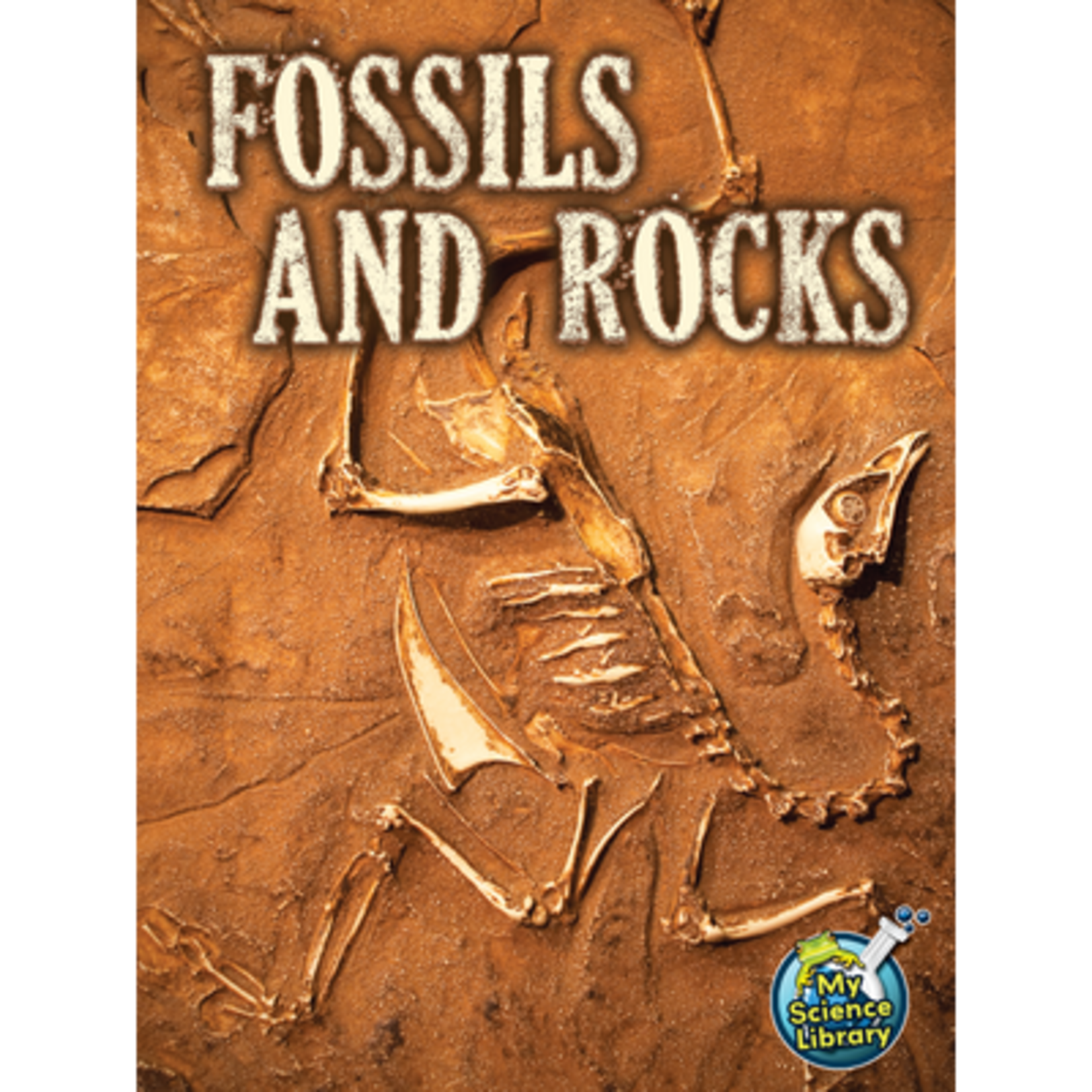 TEACHER CREATED RESOURCES Fossils and Rocks