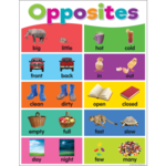 TEACHER CREATED RESOURCES Colorful Opposites Chart