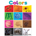 TEACHER CREATED RESOURCES Colorful Colors Chart
