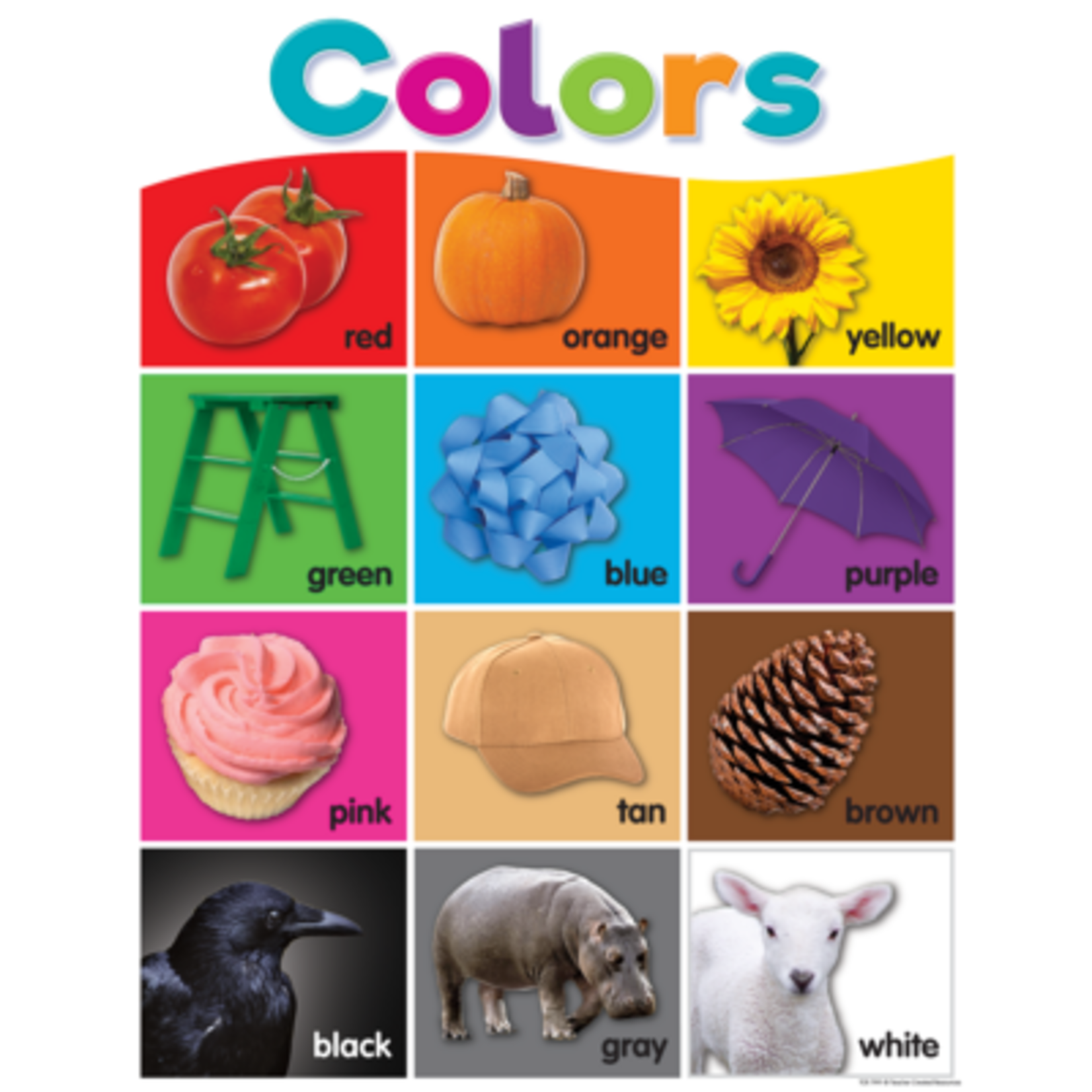 TEACHER CREATED RESOURCES Colorful Colors Chart