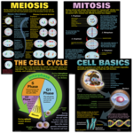 TEACHER CREATED RESOURCES Cells Poster Set