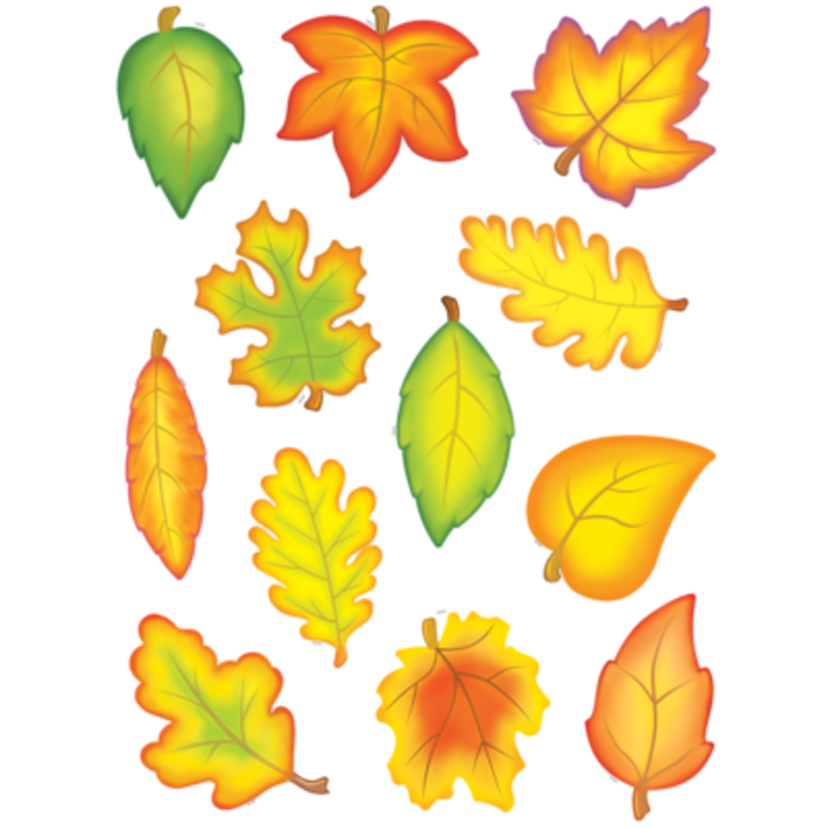 TEACHER CREATED RESOURCES Fall Leaves Accents