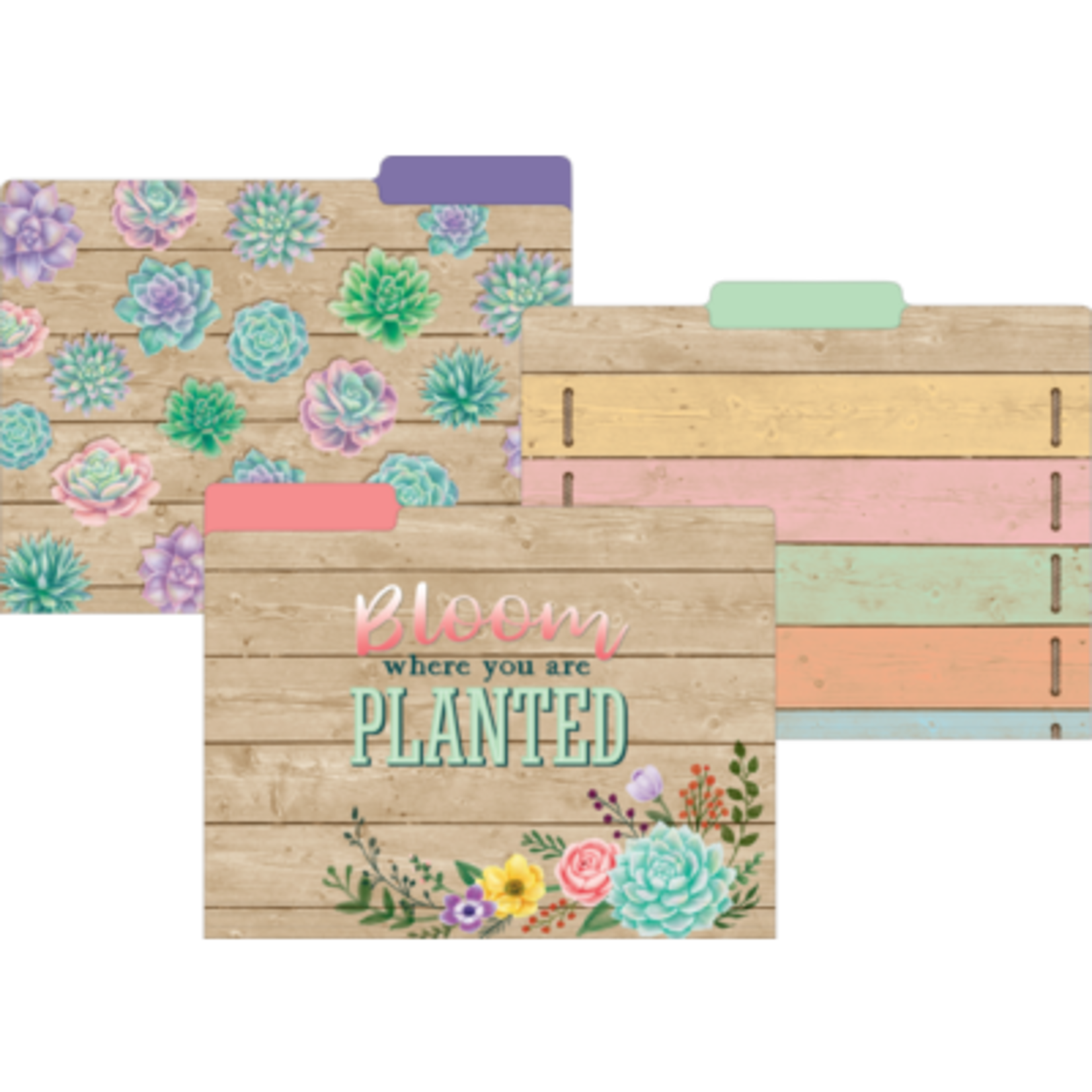 TEACHER CREATED RESOURCES Rustic Bloom File Folders