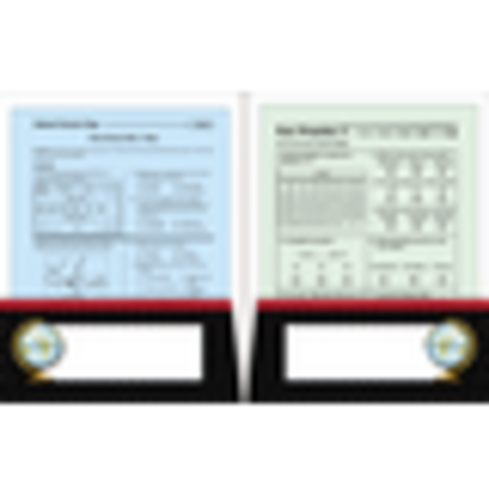 TEACHER CREATED RESOURCES Substitute Teacher Pocket Folder from Mary Engelbreit