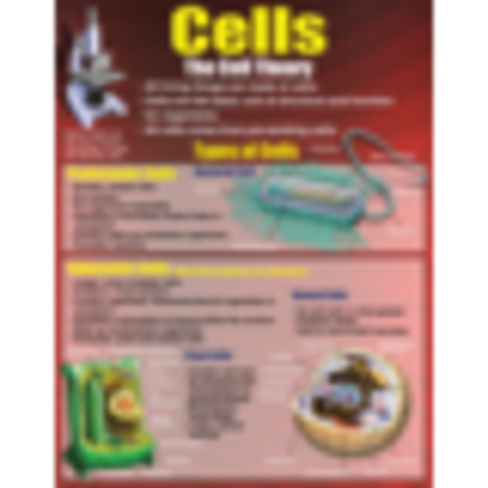 TEACHER CREATED RESOURCES Living Organisms Poster Set