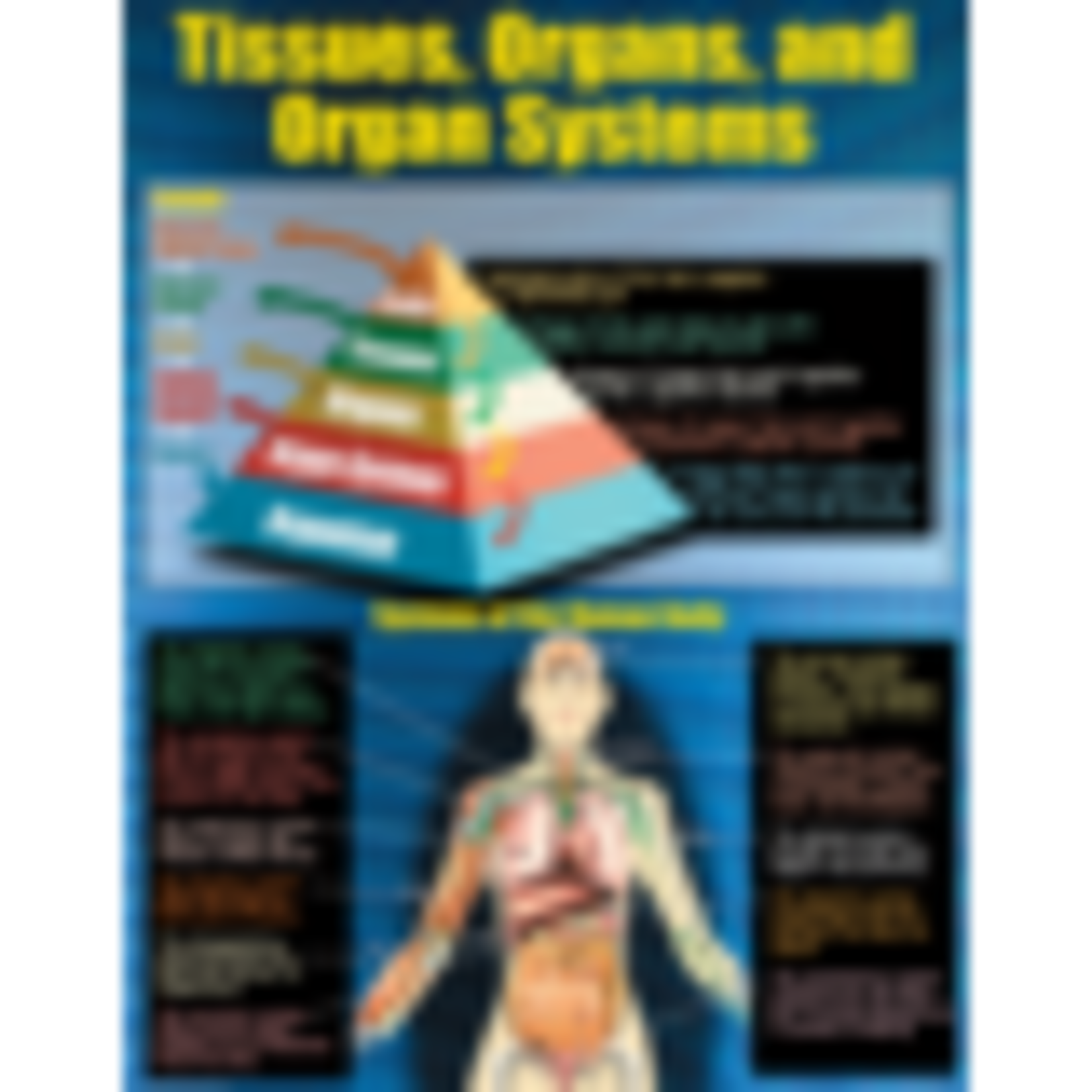 TEACHER CREATED RESOURCES Living Organisms Poster Set