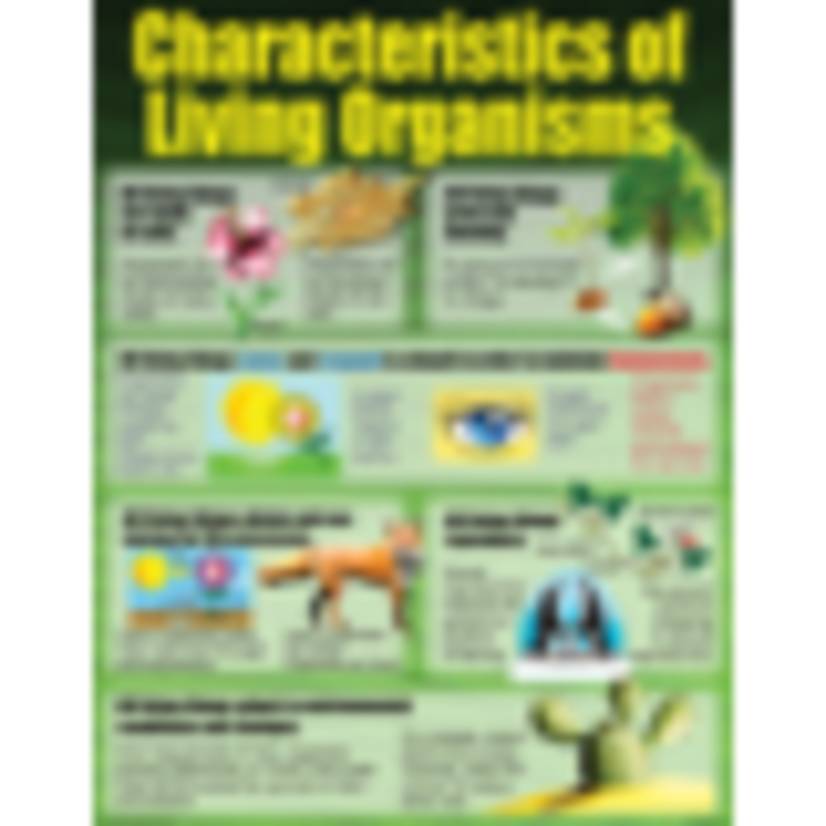 TEACHER CREATED RESOURCES Living Organisms Poster Set
