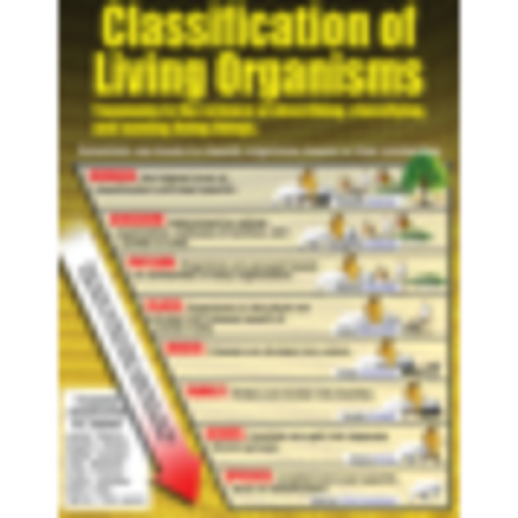 TEACHER CREATED RESOURCES Living Organisms Poster Set