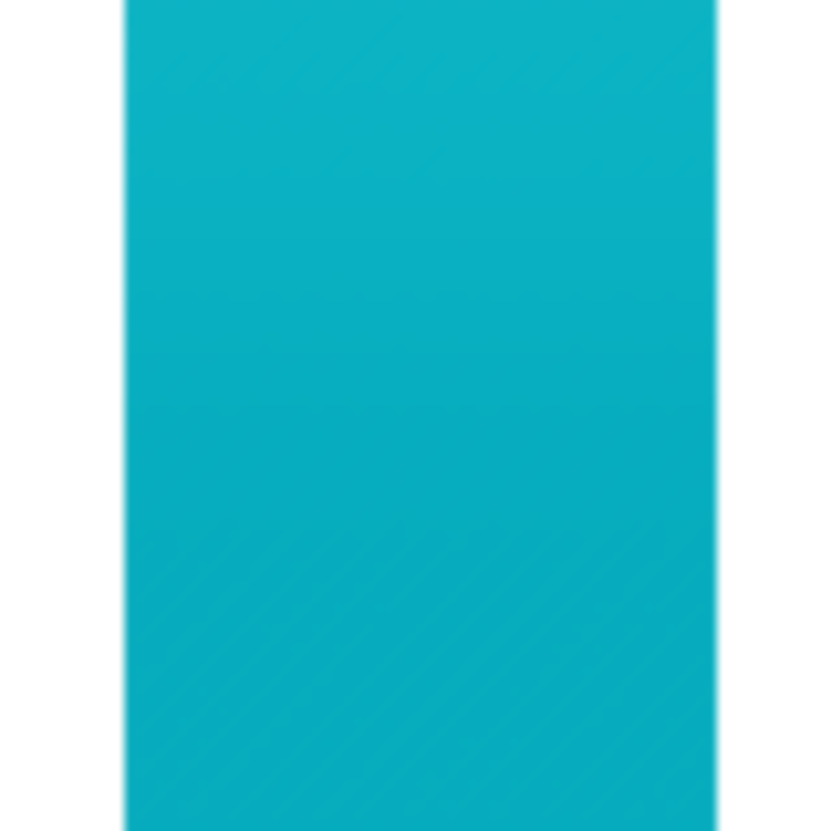 TEACHER CREATED RESOURCES Teal Better Than Paper Bulletin Board Roll