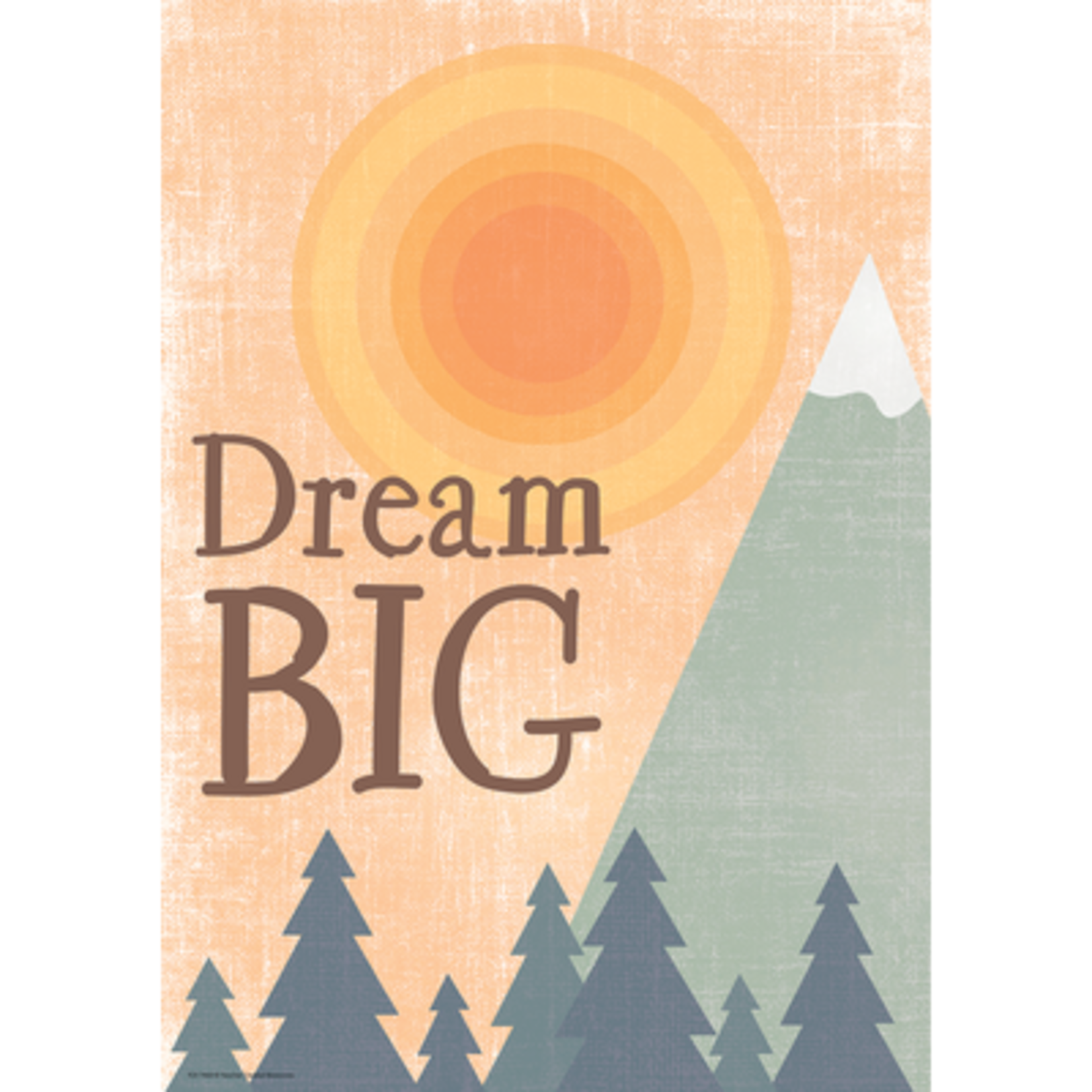 TEACHER CREATED RESOURCES Moving Mountains Dream Big Positive Poster