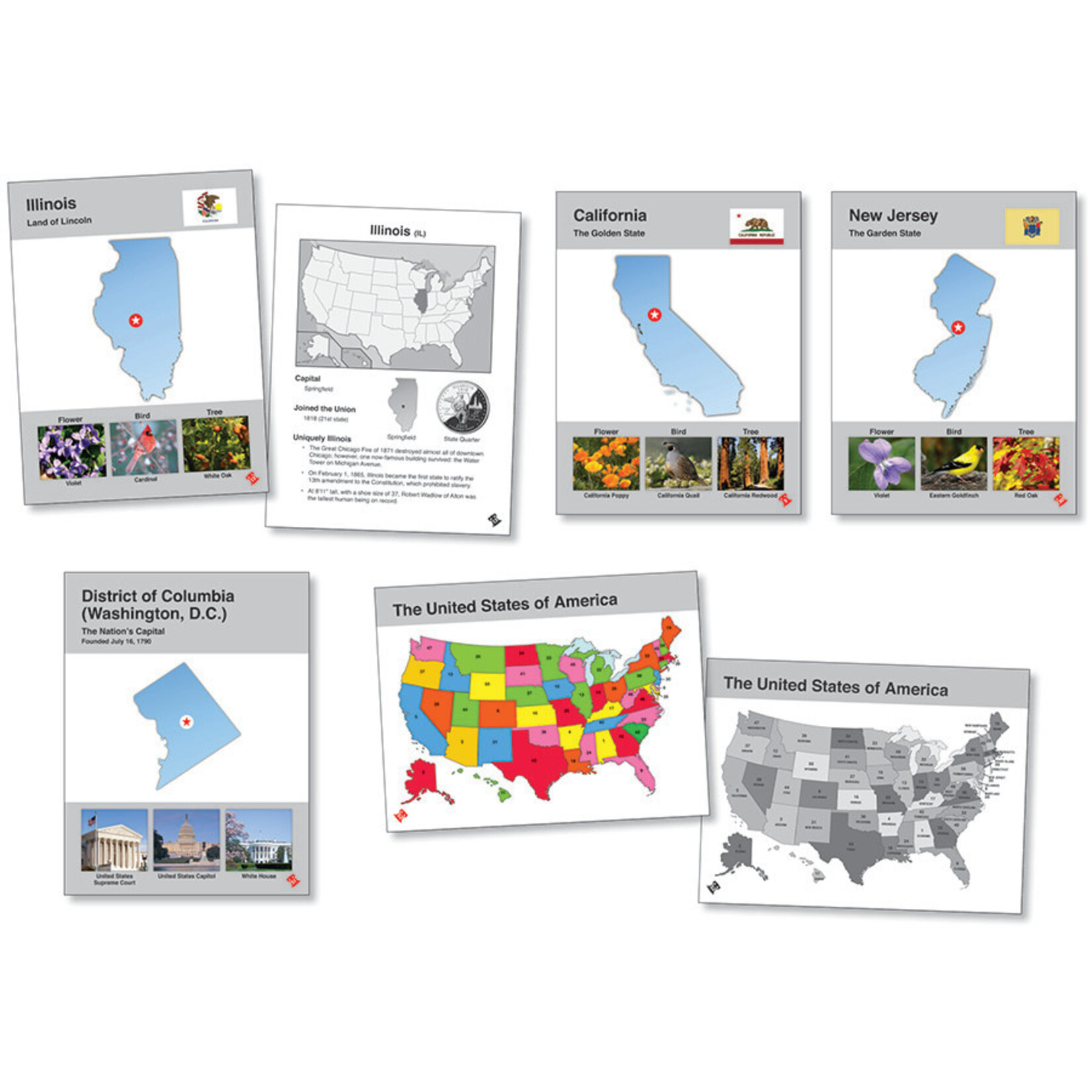 NORTH STAR TEACHER RESOURCES U.S. States Photo Language Cards