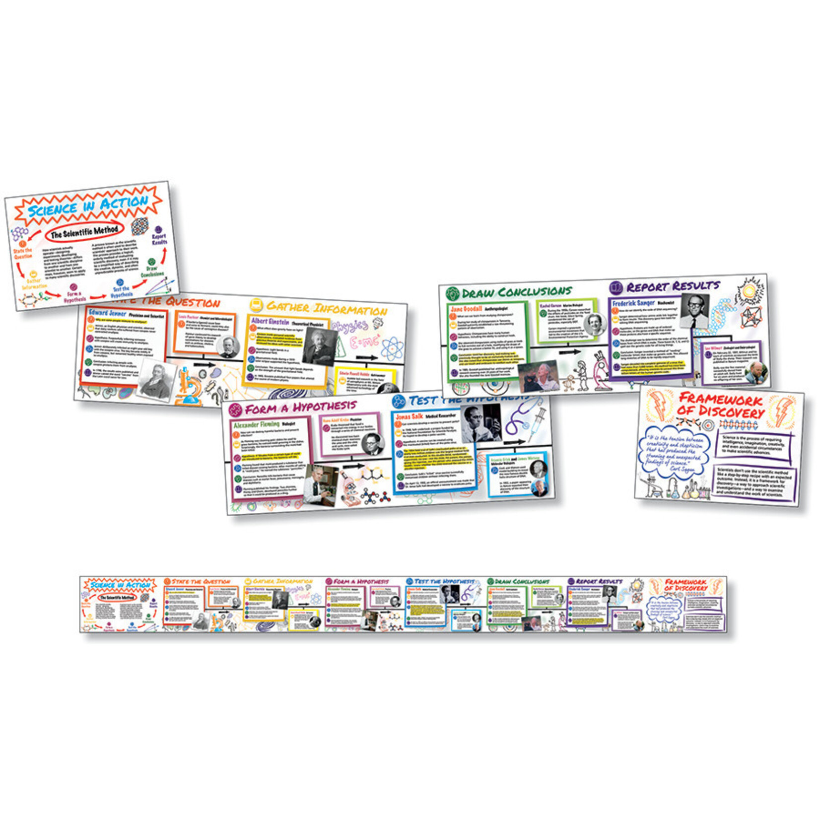 NORTH STAR TEACHER RESOURCES Science in Action Time Link