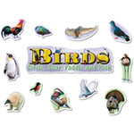 NORTH STAR TEACHER RESOURCES Birds Mini Bulletin Board