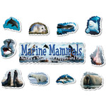 NORTH STAR TEACHER RESOURCES Marine Mammals Mini Bulletin Board