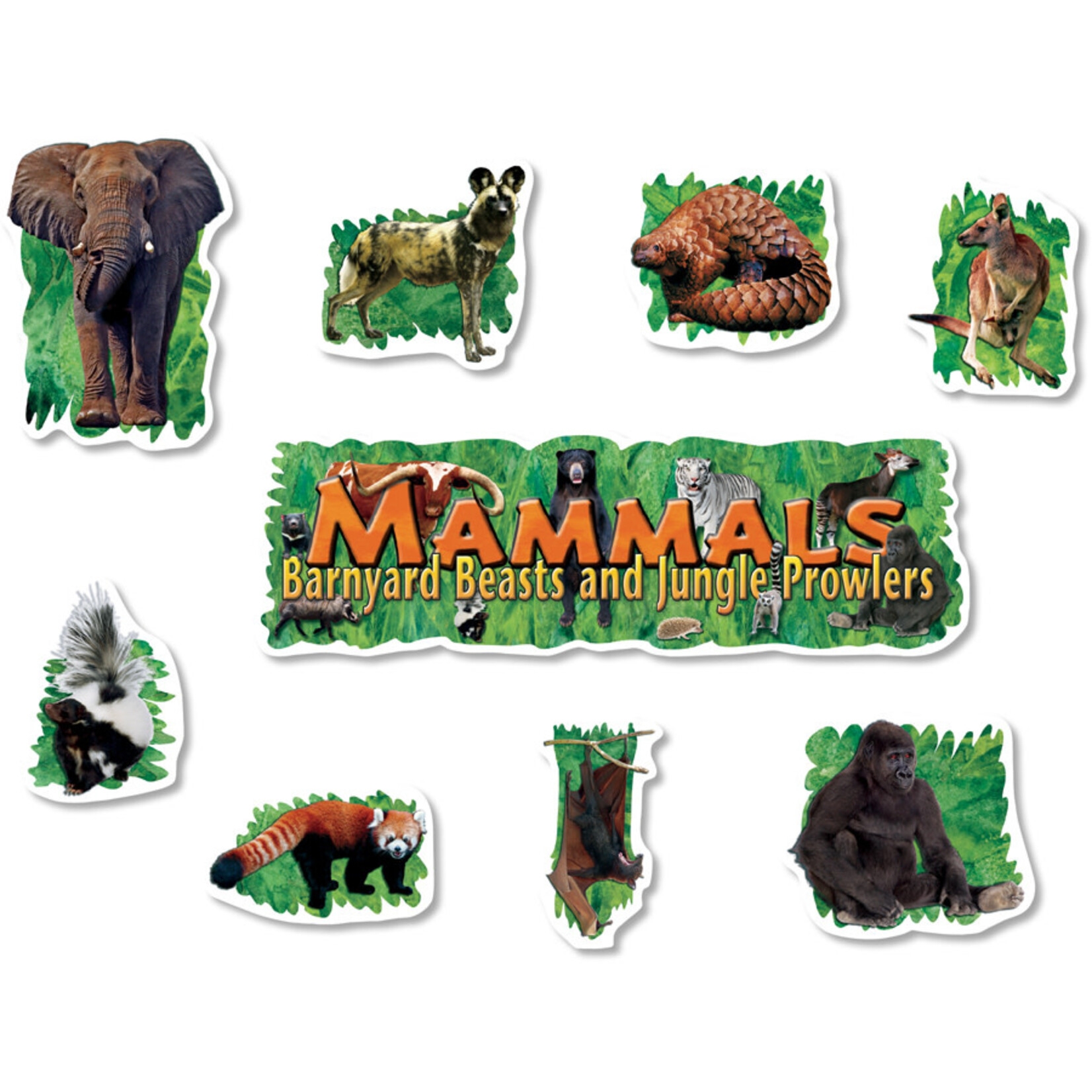 NORTH STAR TEACHER RESOURCES Land Mammals Mini Bulletin Board