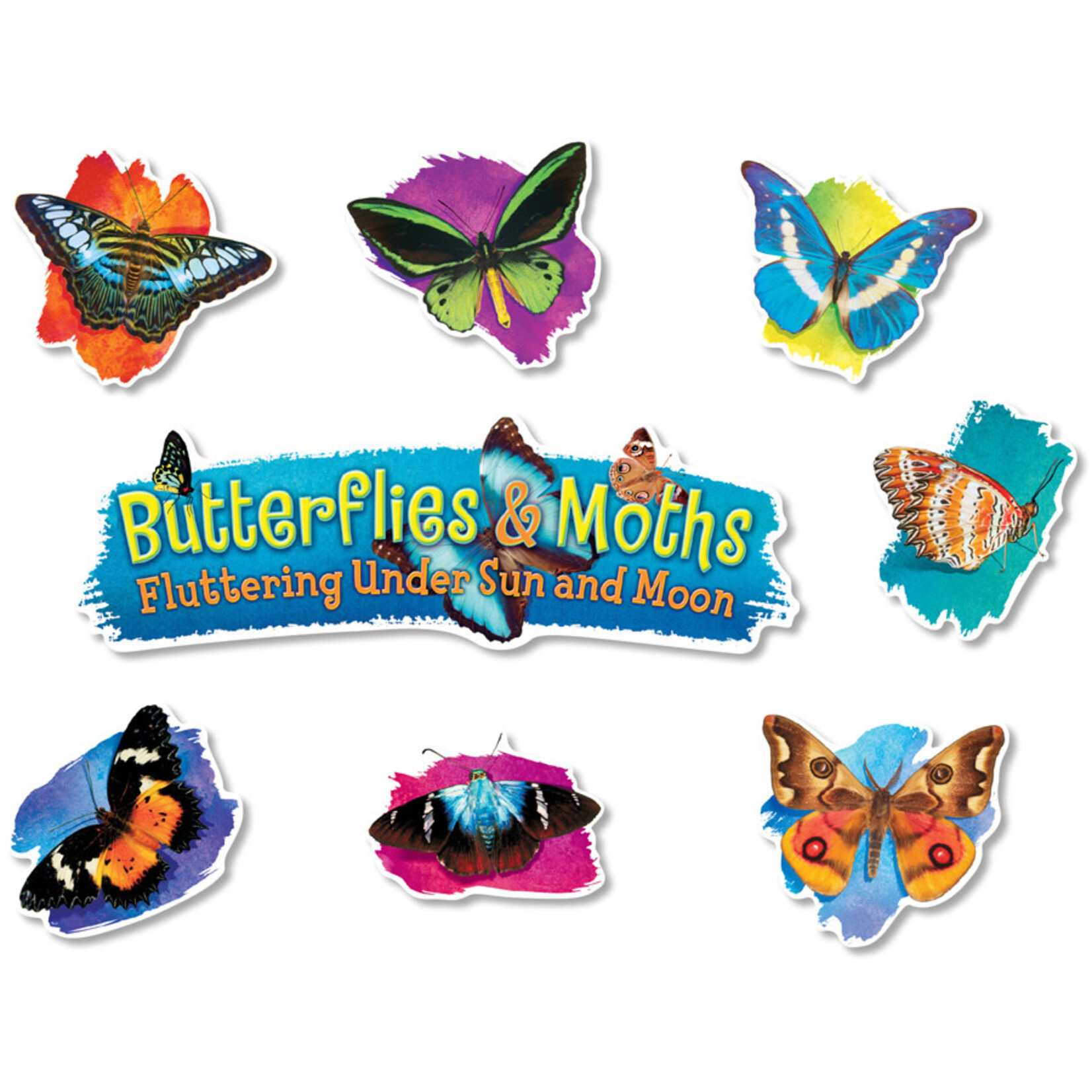 NORTH STAR TEACHER RESOURCES Butterflies & Moths Mini Bulletin Board