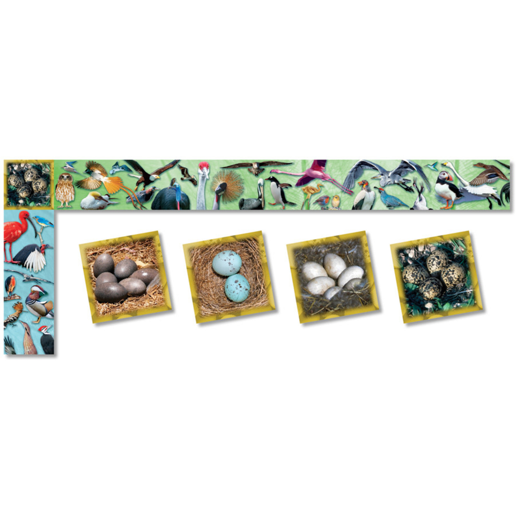 NORTH STAR TEACHER RESOURCES Birds Trimmer