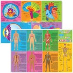 ASHLEY INCORPORATED Smart Poly® Learning Mat 12"x17", Double-Sided, Human Body Systems & Anatomy