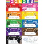 ASHLEY INCORPORATED Smart Poly Poster - Colors 13" X 9.5"
