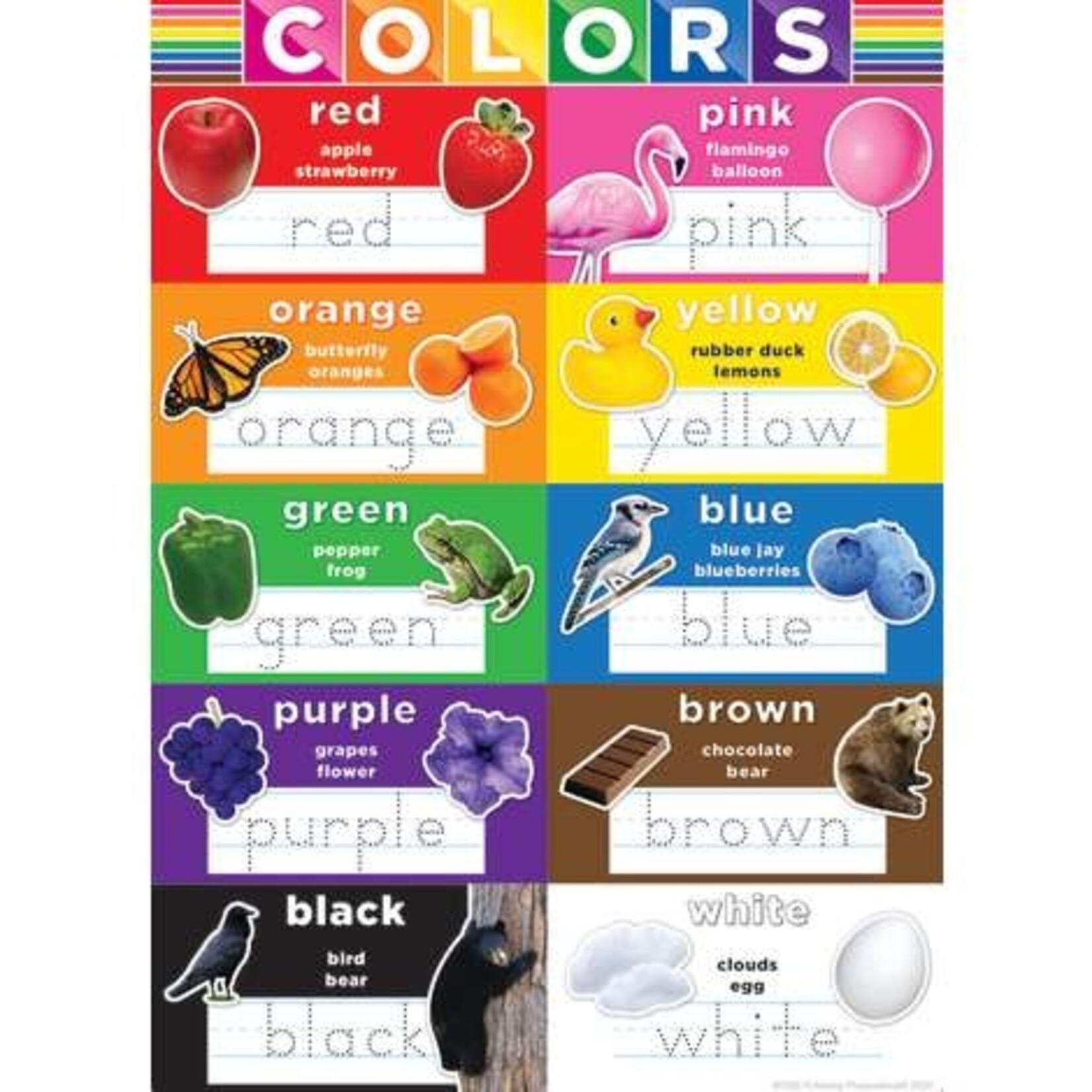ASHLEY INCORPORATED Smart Poly® Poster - Colors 13" X 9.5"