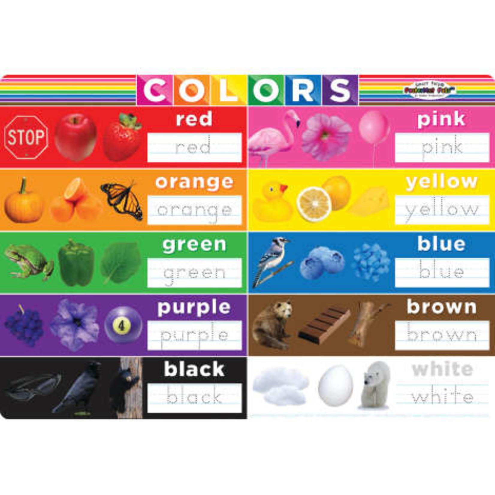 ASHLEY INCORPORATED Smart Poly® Poster - Colors 12" X 17.25"