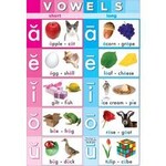 ASHLEY INCORPORATED Smart Poly Chart Vowels 13" X 19"