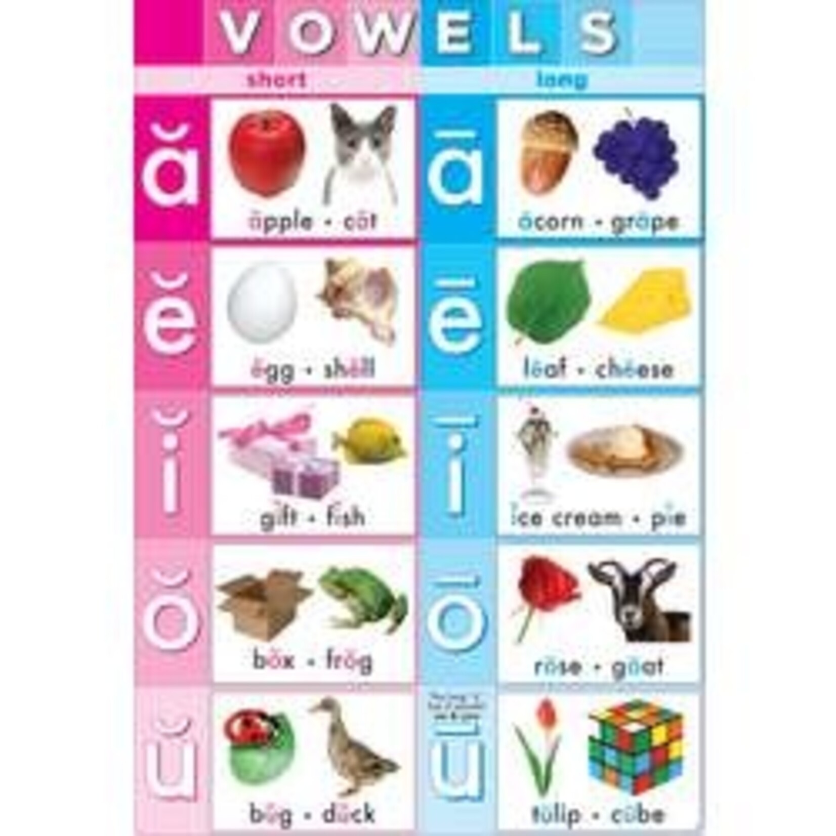 ASHLEY INCORPORATED Vowels 13" X 19" Smart Poly® Chart