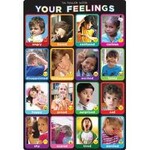 ASHLEY INCORPORATED Smart Poly Chart Emotions Photographs 13" X 19"