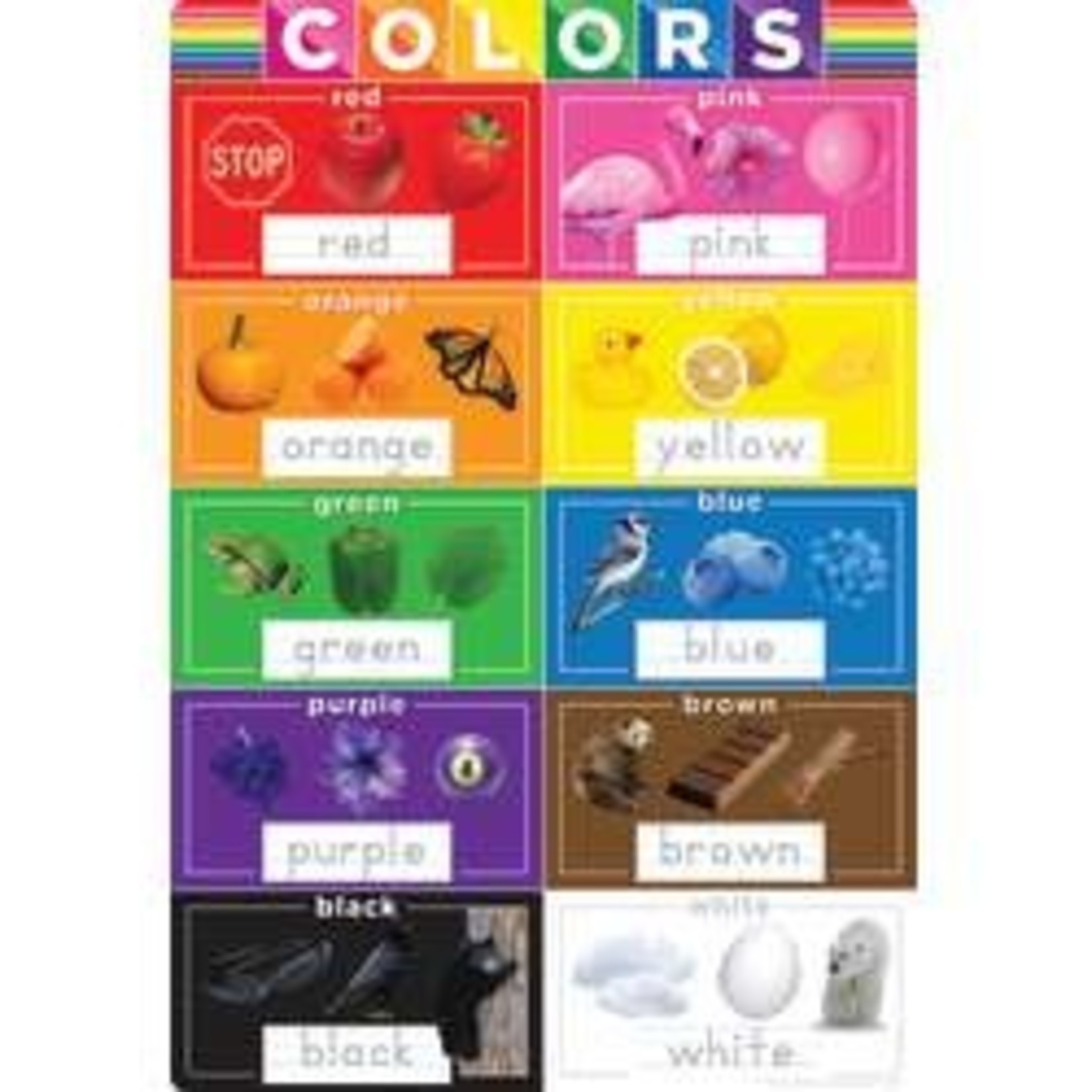 ASHLEY INCORPORATED Smart Poly® Chart Colors 13" X 19"