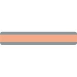 ASHLEY INCORPORATED Double Wide Sentence Reading Guide Strip, Peach