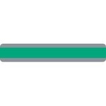 ASHLEY INCORPORATED Double Wide Sentence Reading Guide Strip, Green